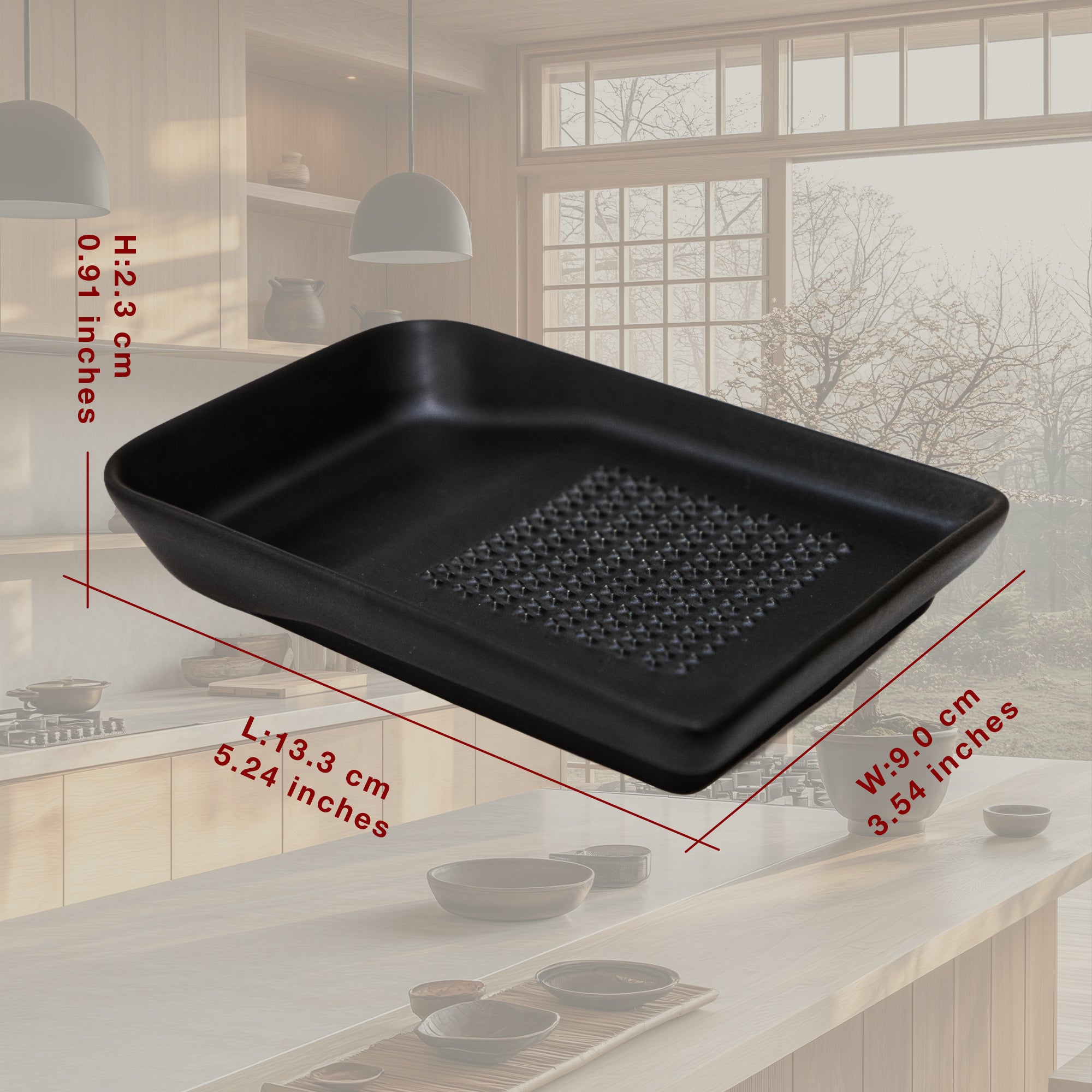 Ceramic Grater Plate for Wasabi, Ginger, Garlic and Onion
